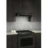 Broan ALT230BL Elite Atla 2 Black 30 inch Convertible Under-Cabinet Range Hood